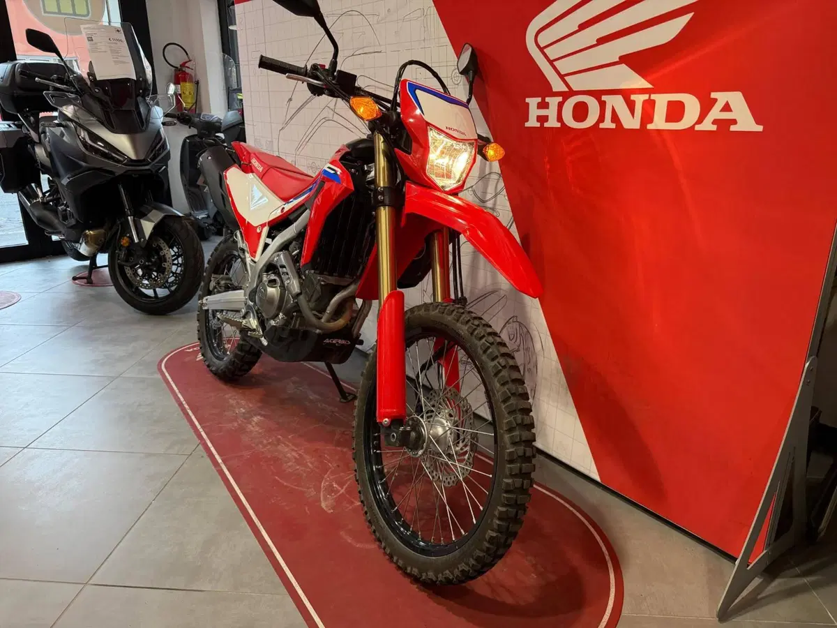Honda CRF 300L (2021 - 24) (4)