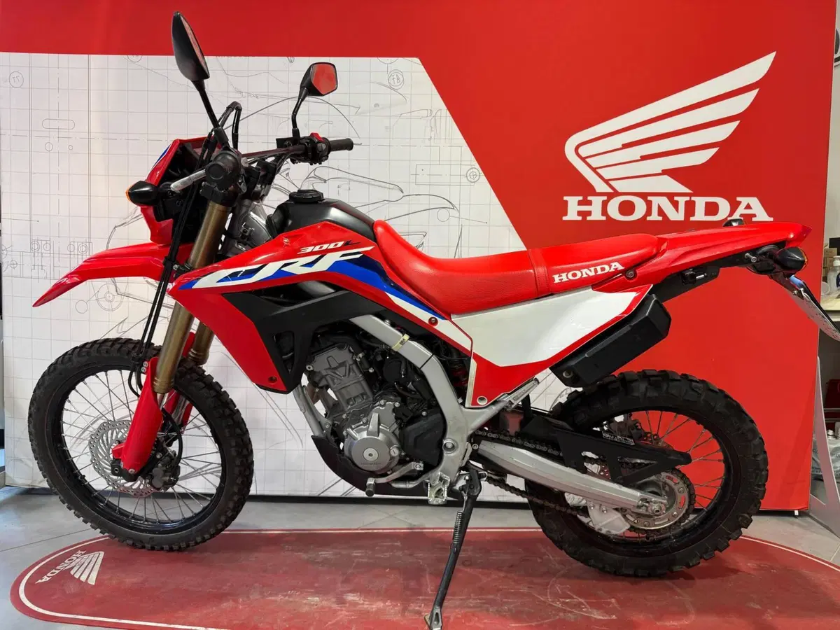 Honda CRF 300L (2021 - 24)