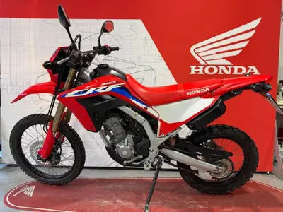 Honda CRF 300L (2021 - 24) usata