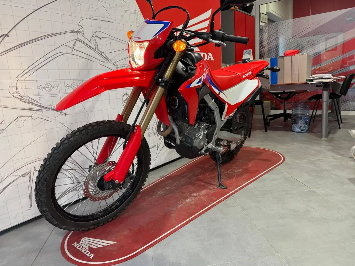 Honda CRF 300L (2021 - 24) (2)