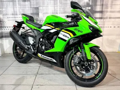 Kawasaki Ninja 125 (2025 - 26) usata