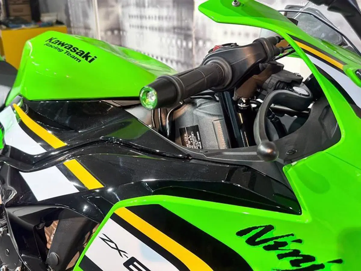 Kawasaki Ninja 125 (2025 - 26) (3)