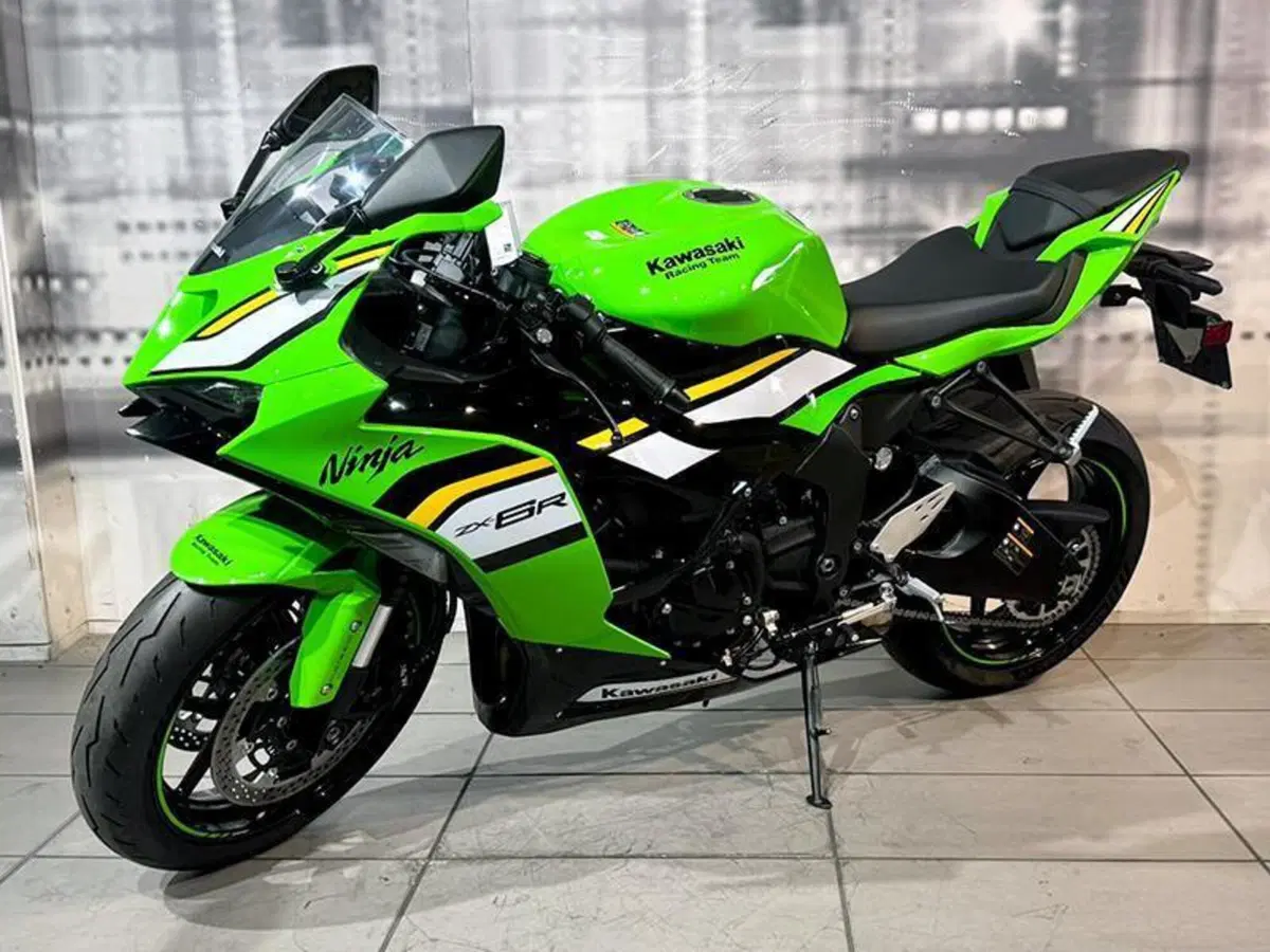 Kawasaki Ninja 125 (2025 - 26) (4)