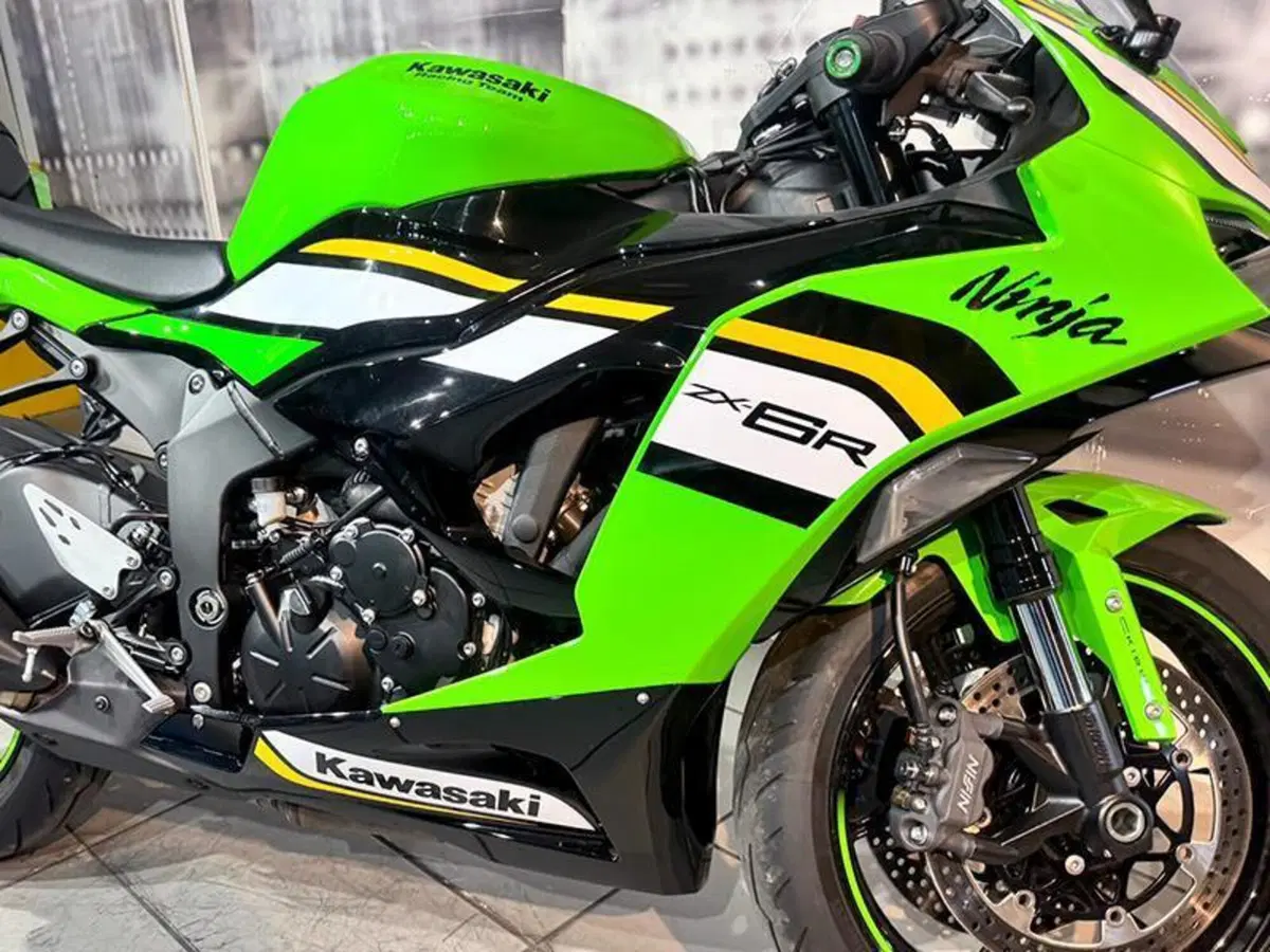 Kawasaki Ninja 125 (2025 - 26) (6)