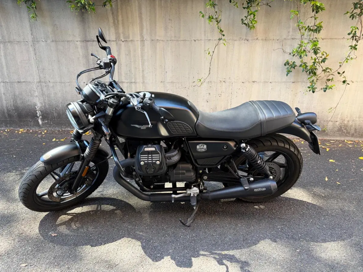Moto Guzzi V7 Stone (2021 - 24)