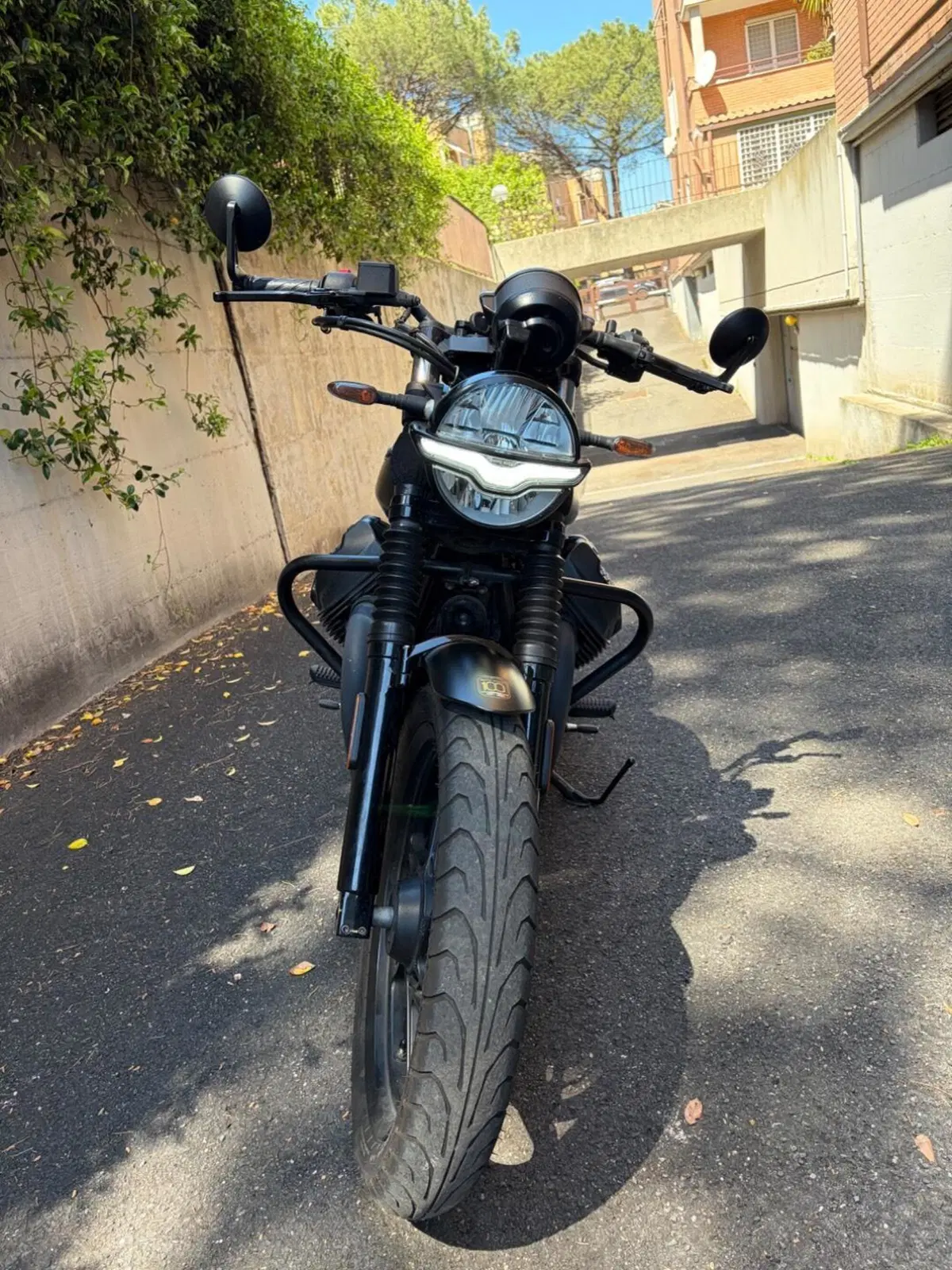 Moto Guzzi V7 Stone (2021 - 24) (3)