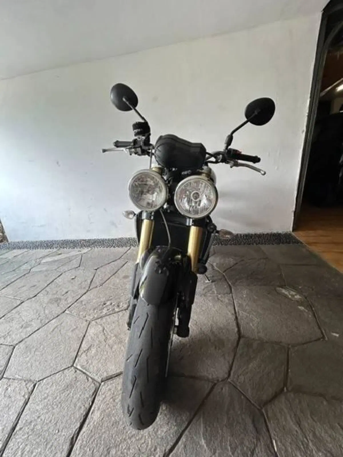Triumph Speed Triple 1050 (3)