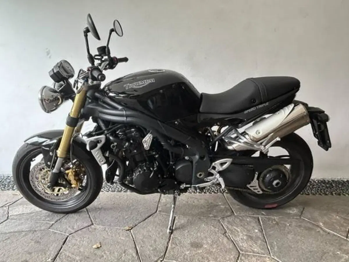 Triumph Speed Triple 1050 (4)