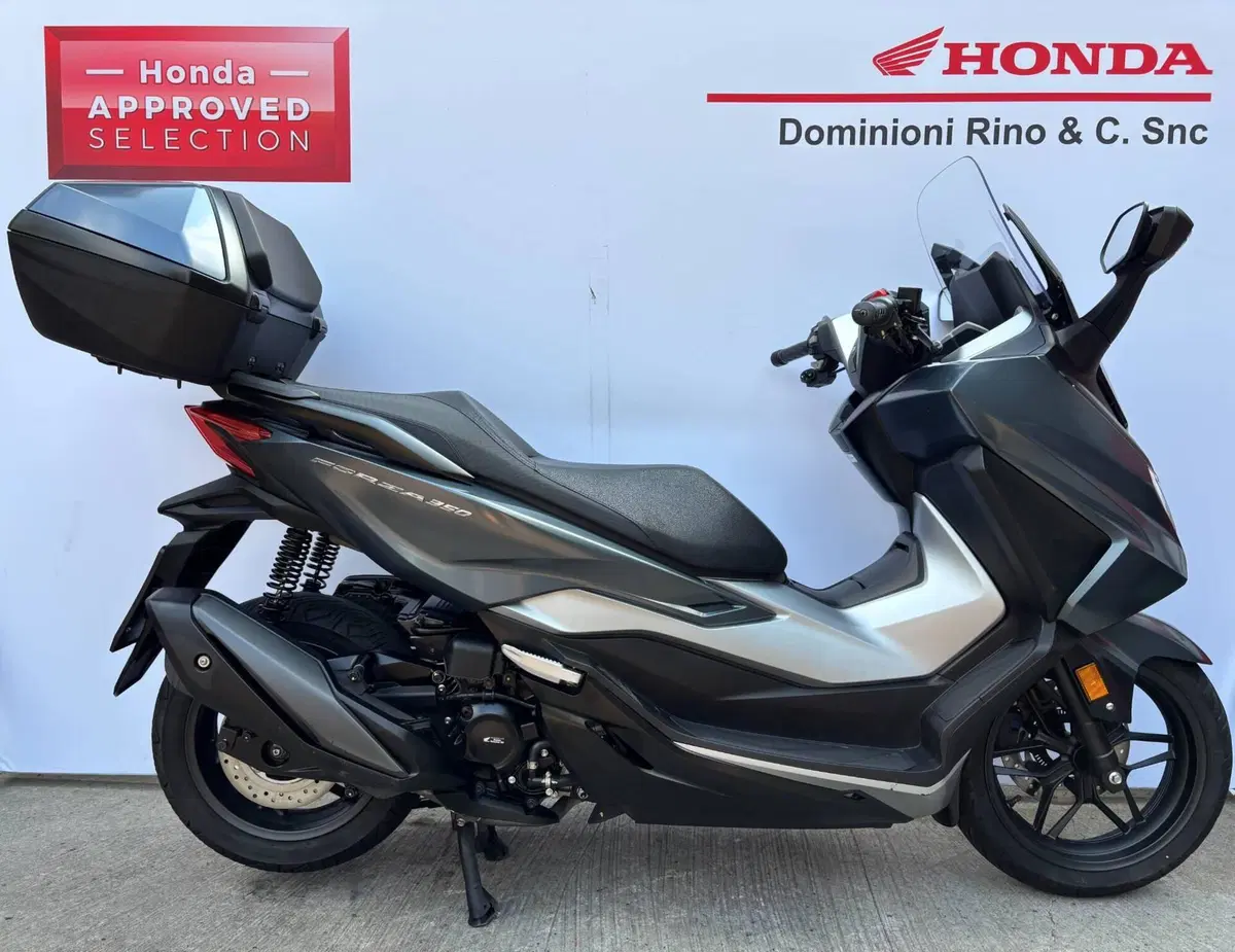 Honda Forza 350 Deluxe (2022 - 24)