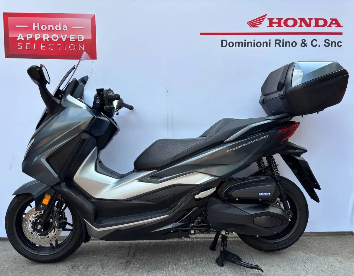 Honda Forza 350 Deluxe (2022 - 24) (2)