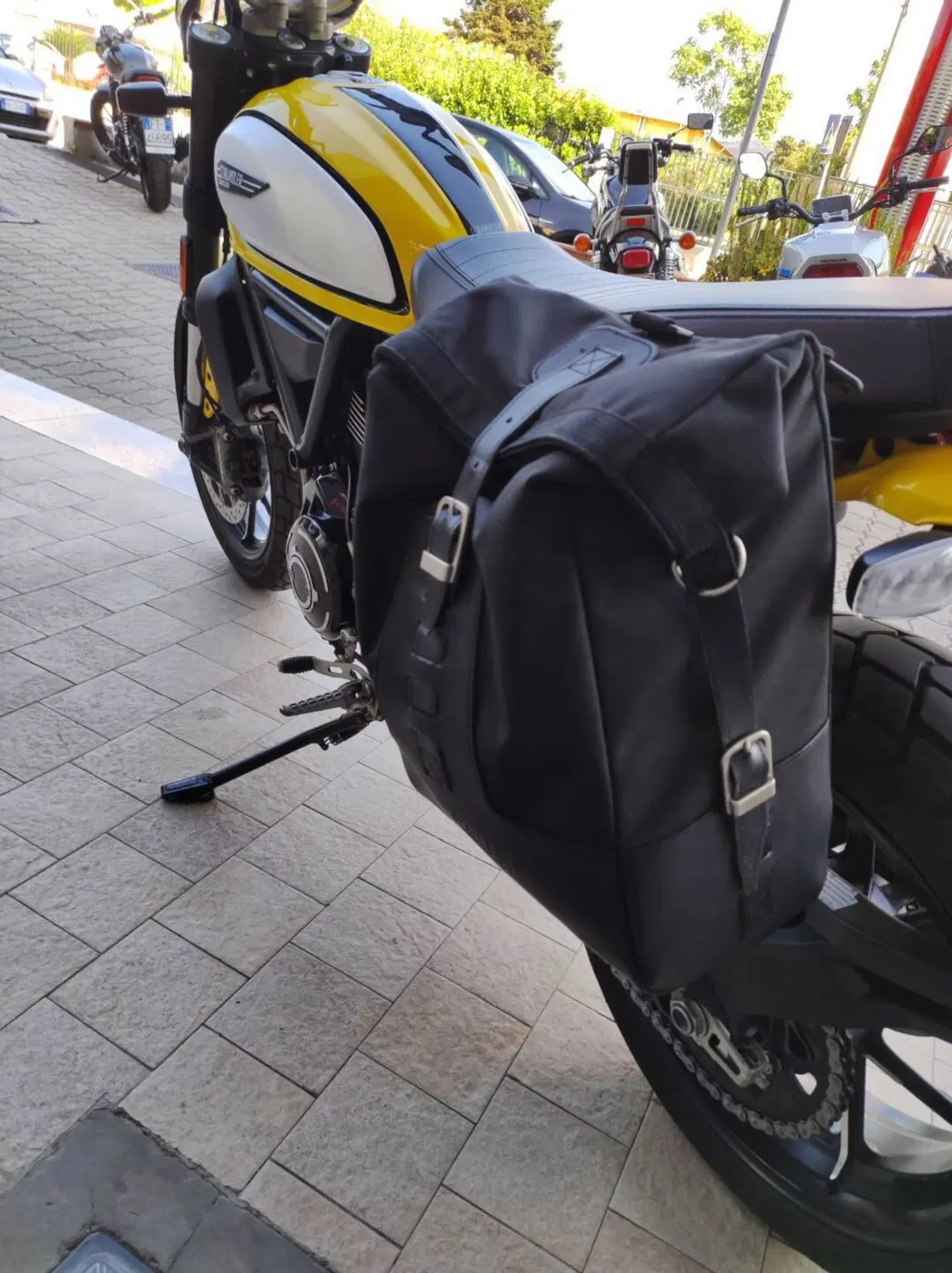 Ducati Scrambler 800 Icon (2023 - 24) (8)