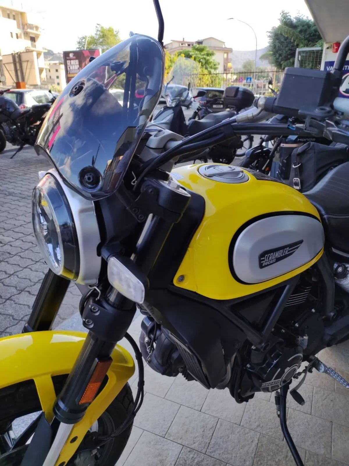 Ducati Scrambler 800 Icon (2023 - 24) (11)