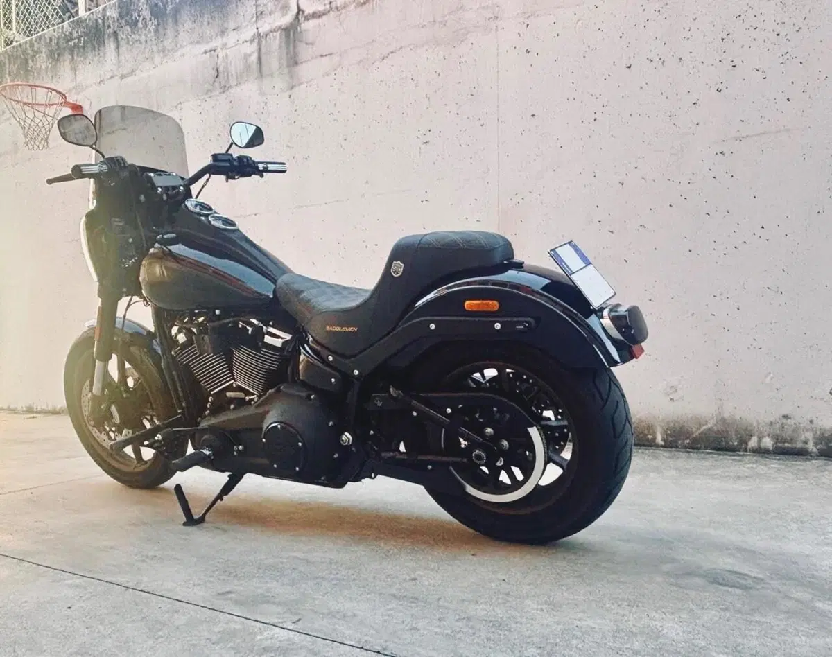 Harley-Davidson 114 Low Rider S (2021) - FXLRS (3)