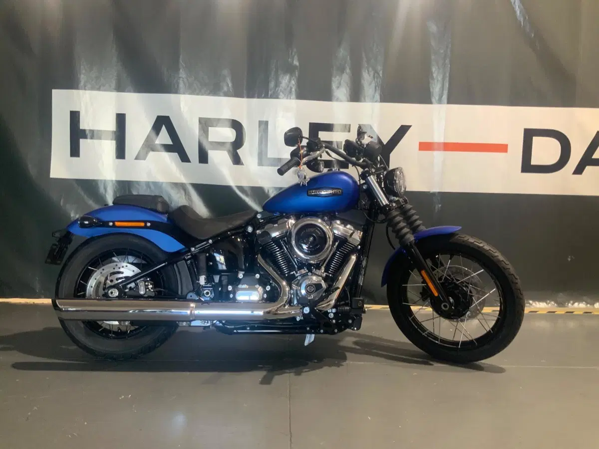 Harley-Davidson Street Bob 117 (2025 - 26)