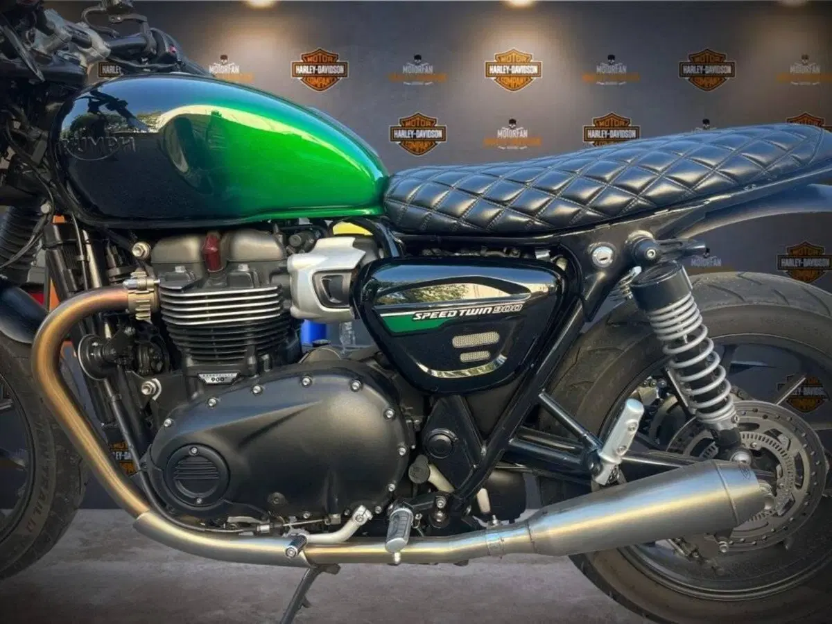 Triumph Speed Twin 900 Stealth Edition (2024) (3)
