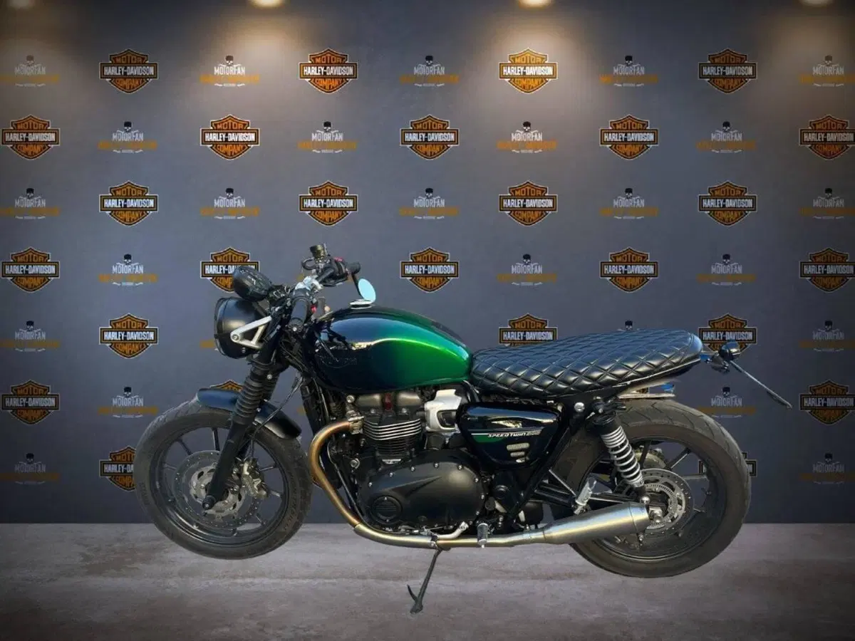 Triumph Speed Twin 900 Stealth Edition (2024) (2)