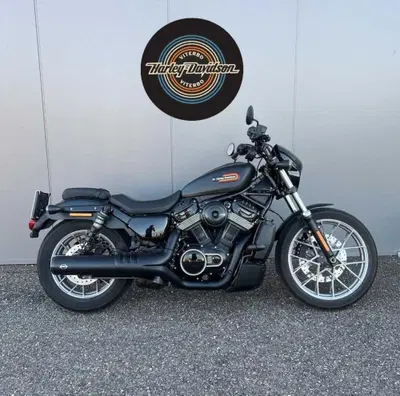 Harley-Davidson Nightster Special (2023 - 26) usata