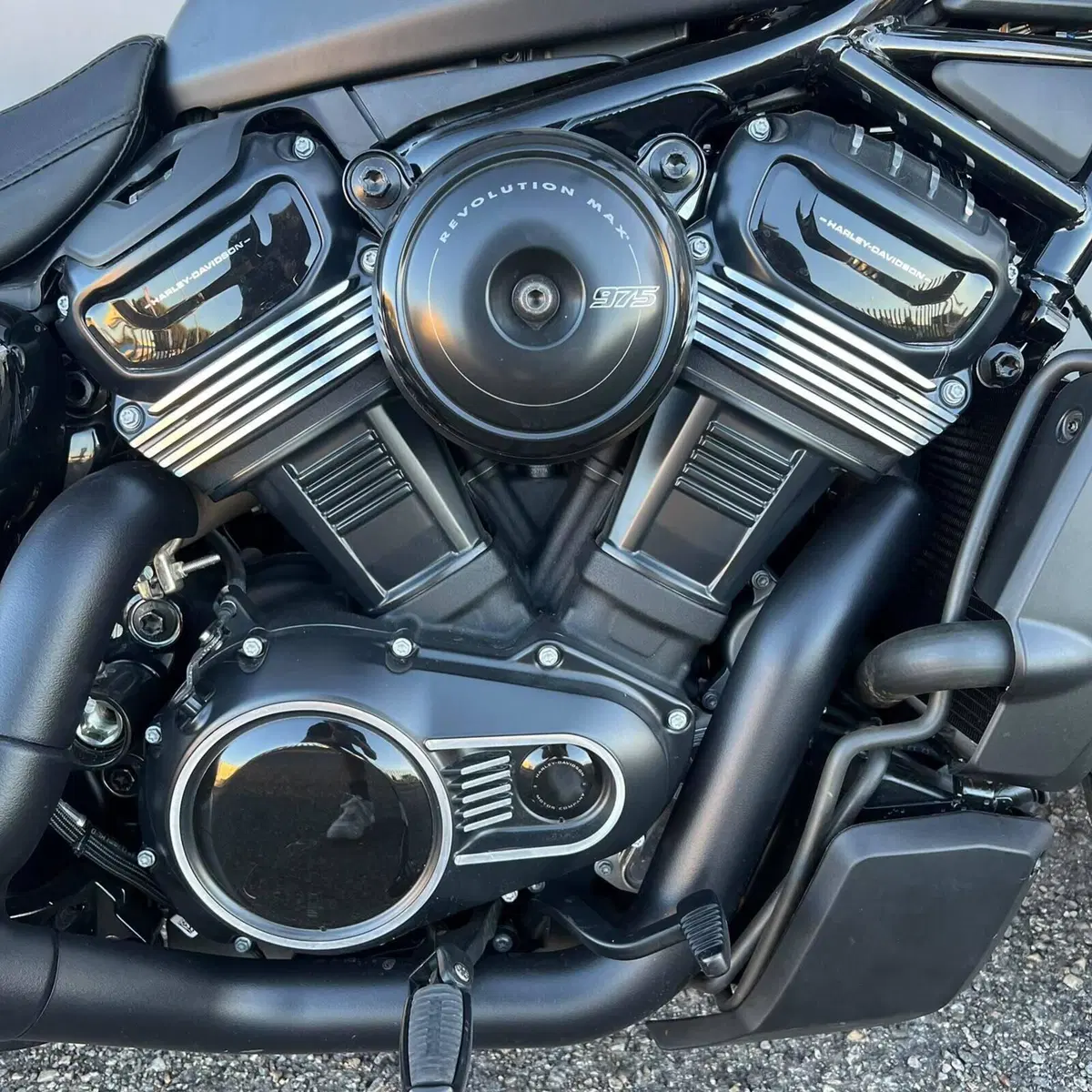 Harley-Davidson Nightster Special (2023 - 26) (2)