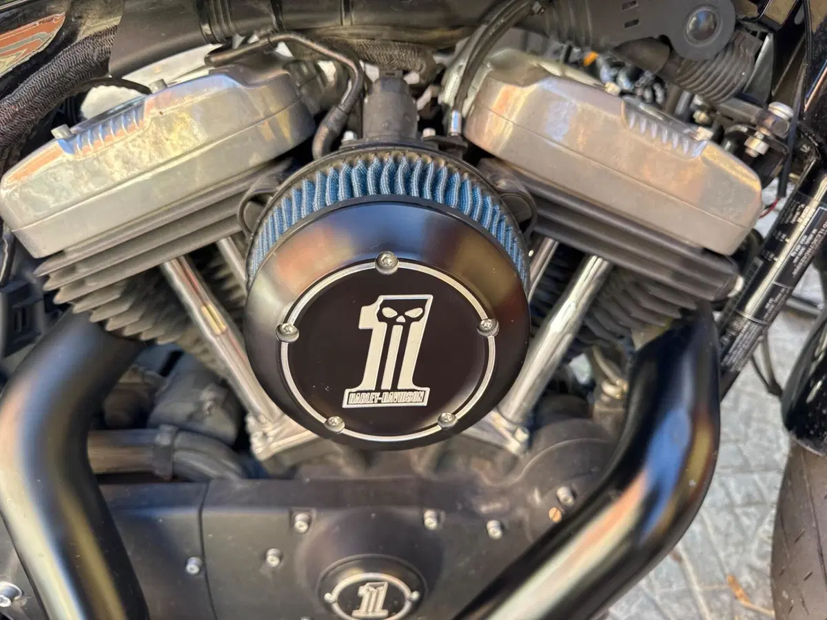 Harley-Davidson 1200 Forty-Eight (2016 - 20) (4)