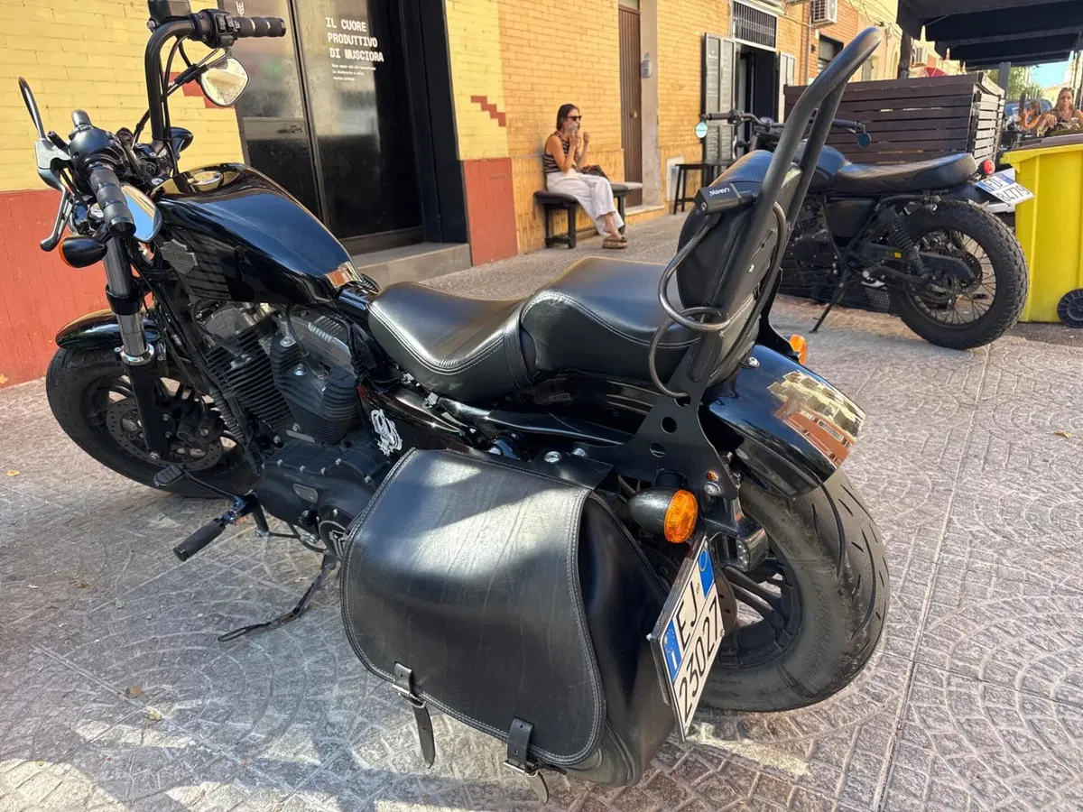Harley-Davidson 1200 Forty-Eight (2016 - 20) (8)