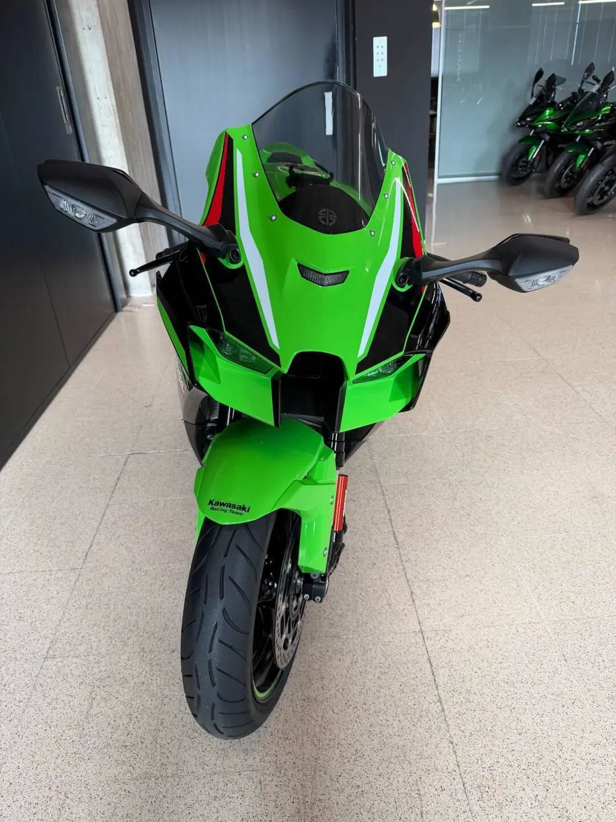 Kawasaki Ninja 1000 ZX-10R (2021 - 25) (3)