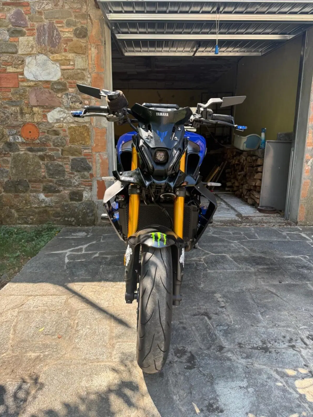 Yamaha MT-09 SP (2021 - 23) (5)