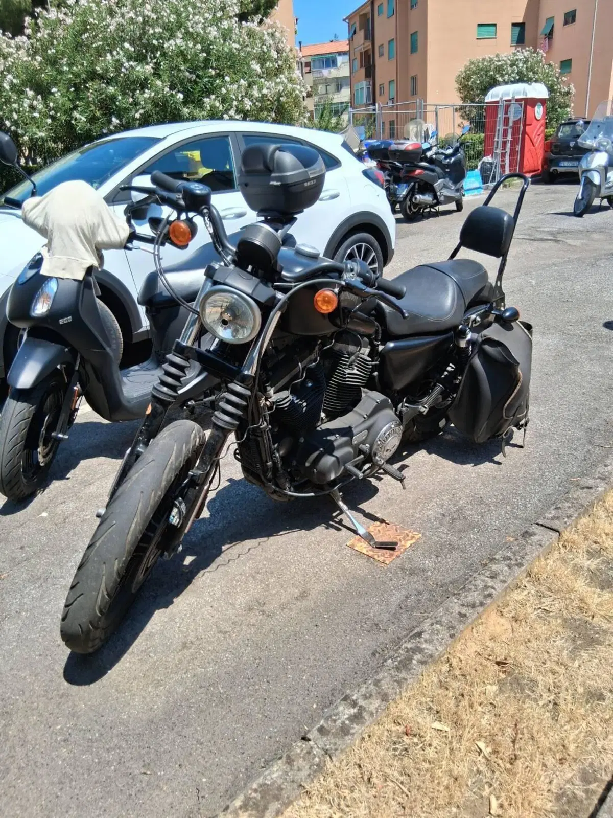 Harley-Davidson 883 Iron (2014 - 16) - XL 883N (3)