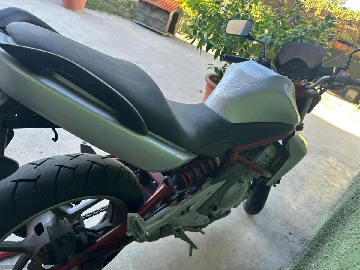 Kawasaki ER-6N (2006 - 09) (3)