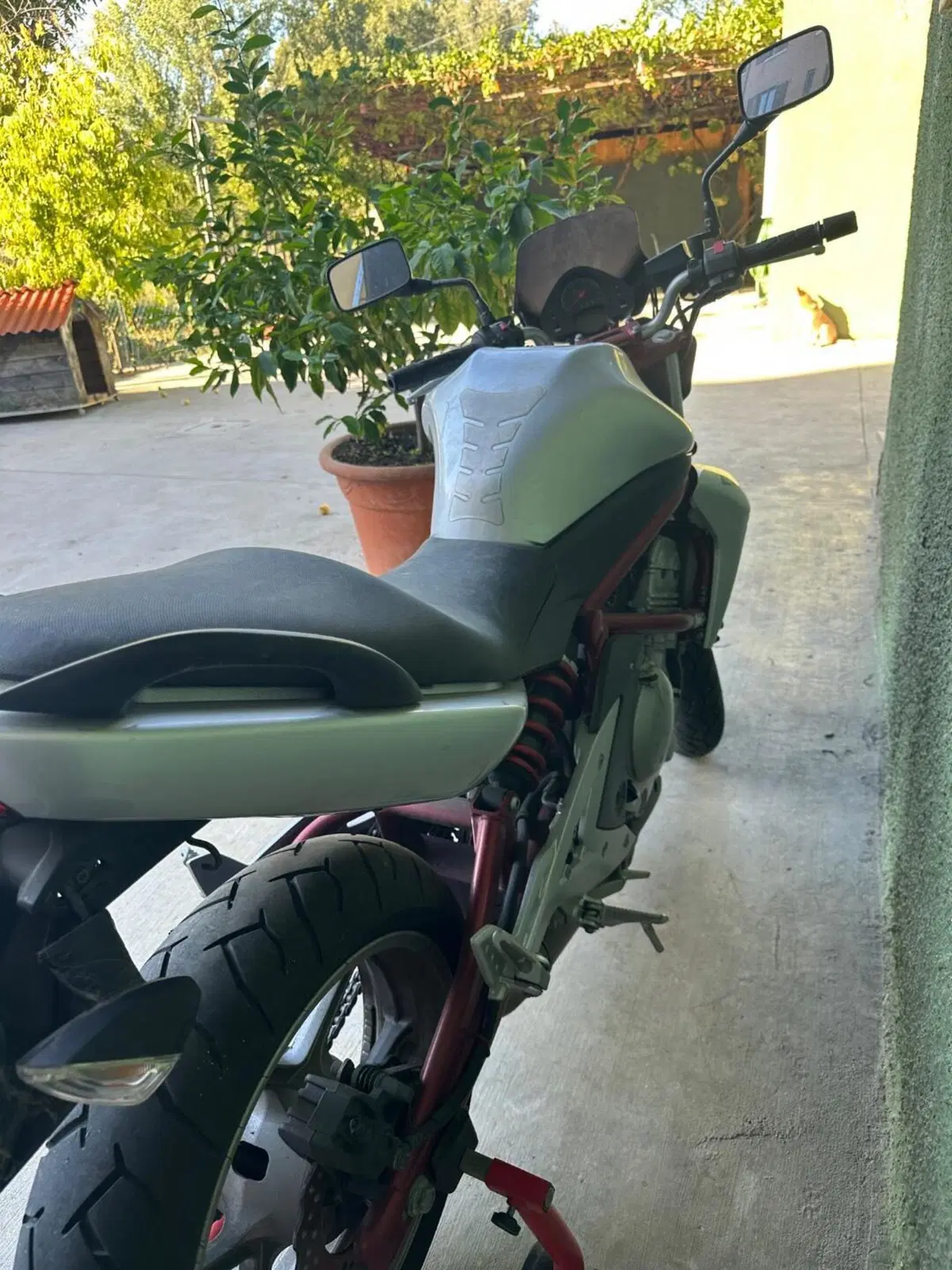 Kawasaki ER-6N (2006 - 09) (4)