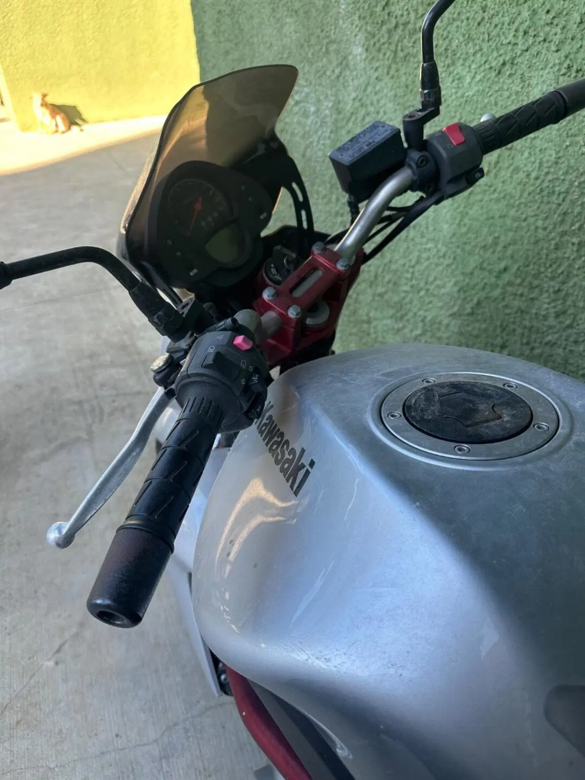 Kawasaki ER-6N (2006 - 09) (5)