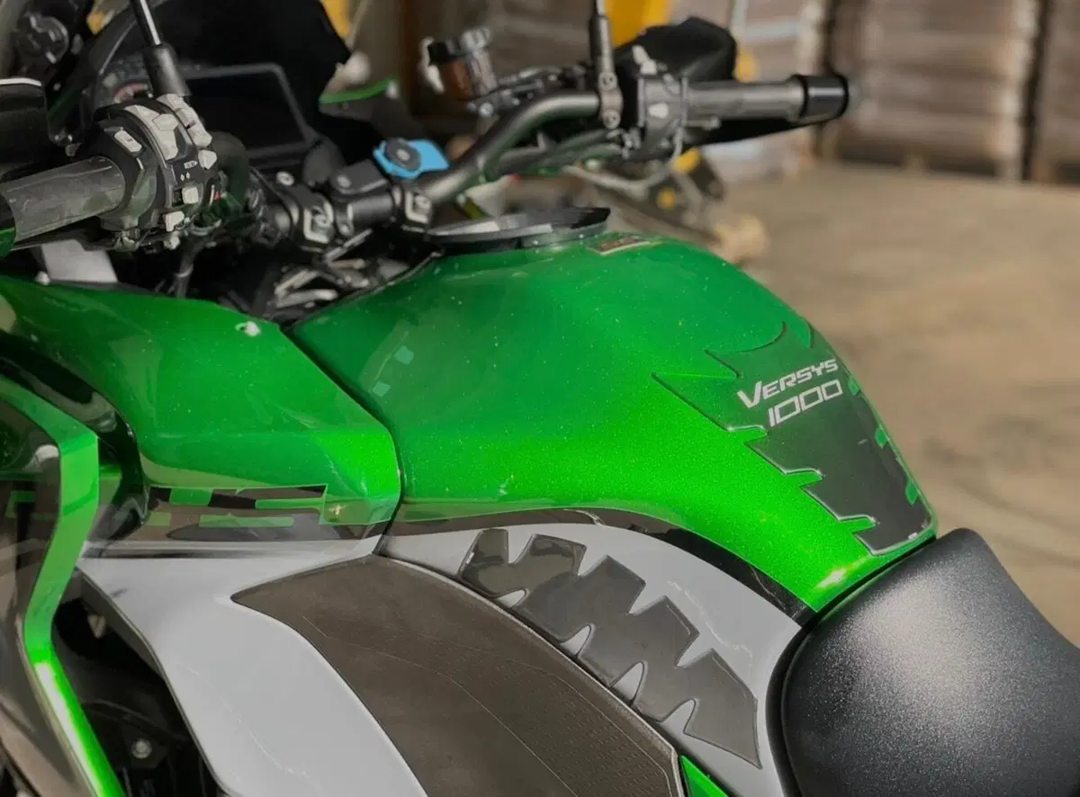 Kawasaki Versys 1000 SE (2019 - 20) (5)