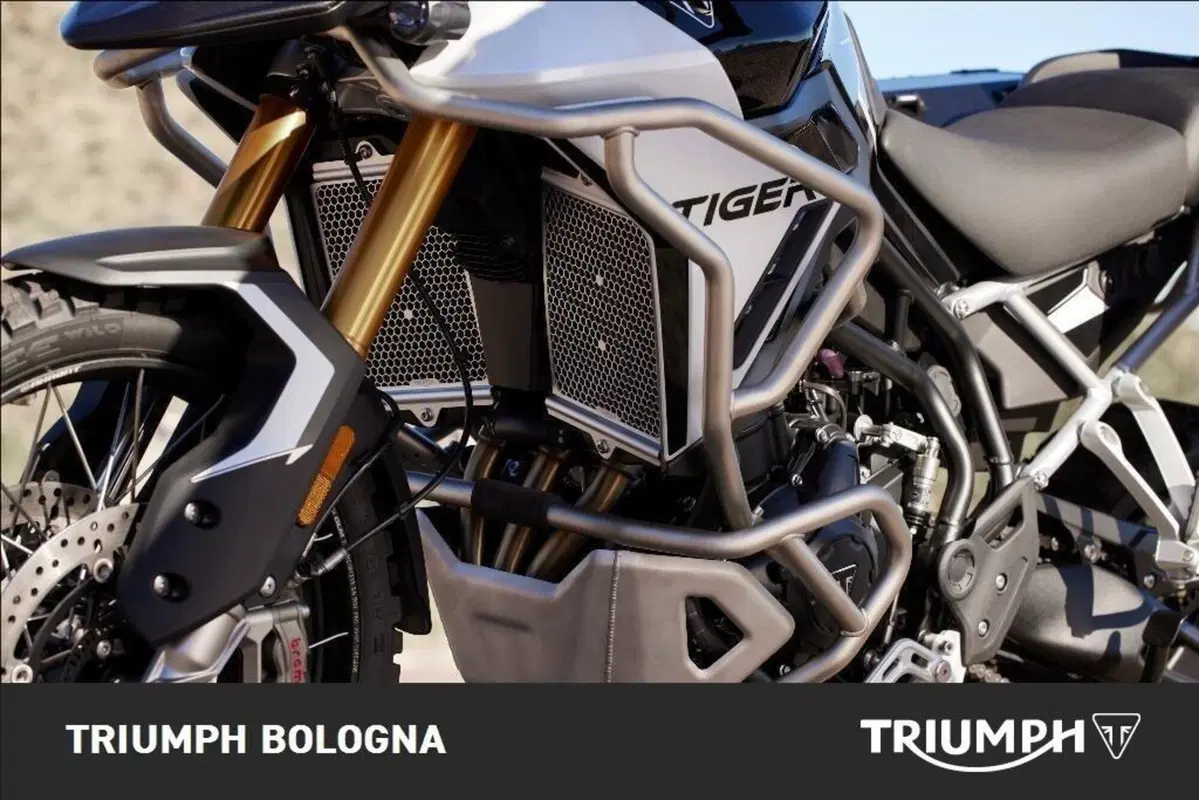 Triumph Tiger 900 Rally Pro (2024 - 26) (2)
