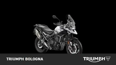Triumph Tiger 900 GT Pro (2024 - 26) nuova