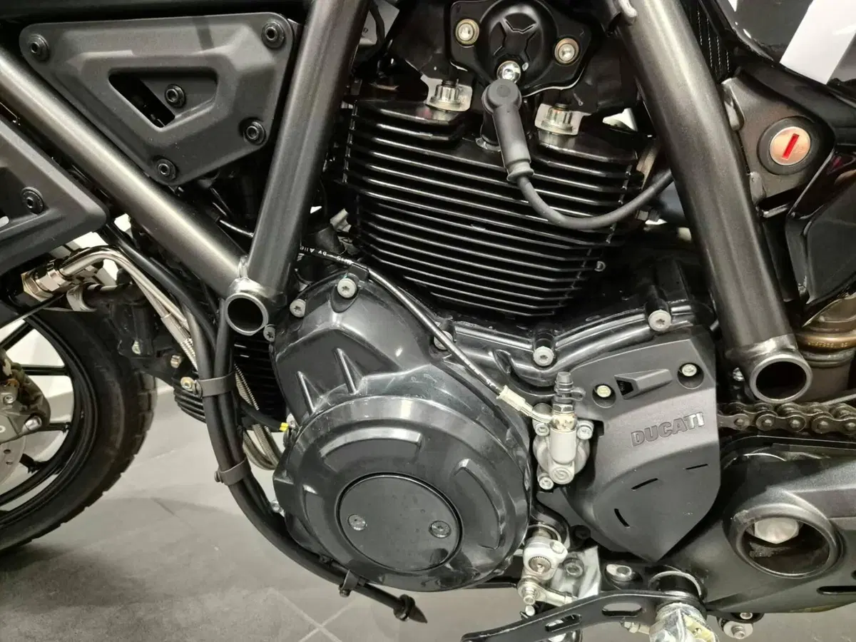 Ducati Scrambler 800 Icon Dark (2025 - 26) (9)