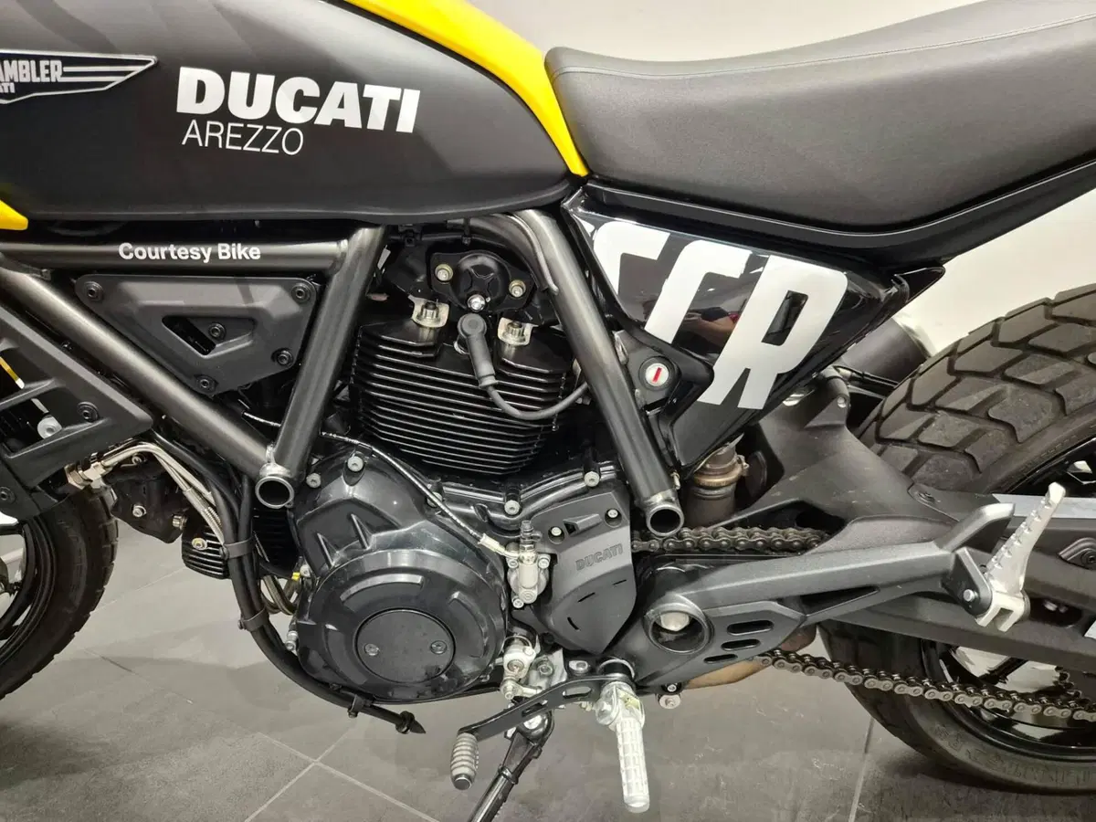 Ducati Scrambler 800 Icon Dark (2025 - 26) (8)