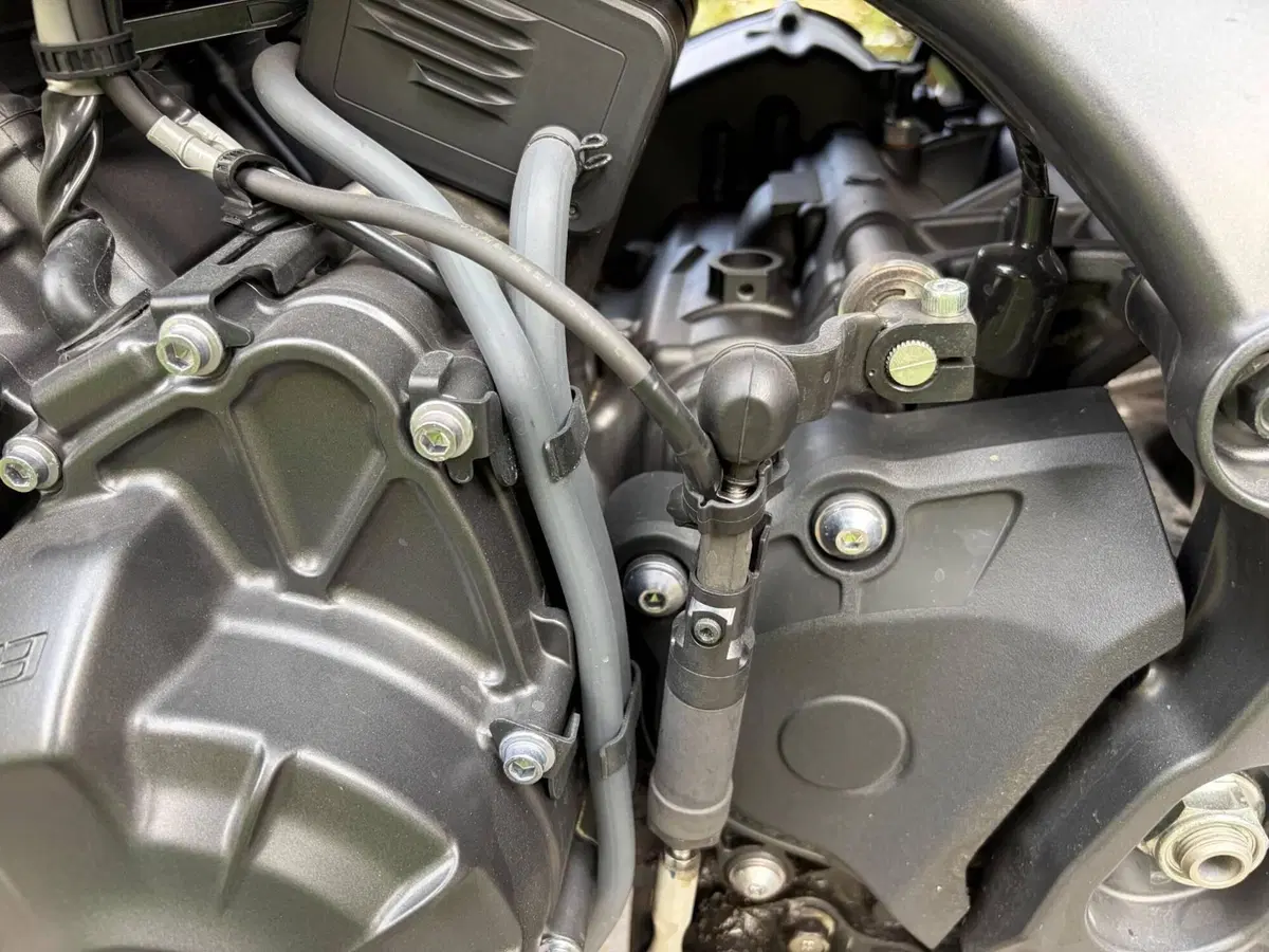 Yamaha MT-09 (2021 - 23) (6)