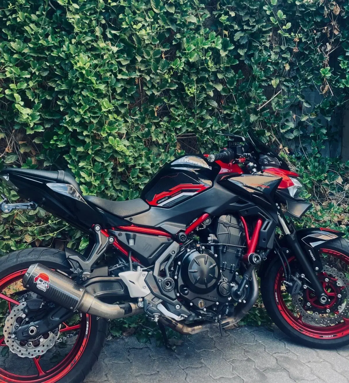 Kawasaki Z 650 (2021 - 24)