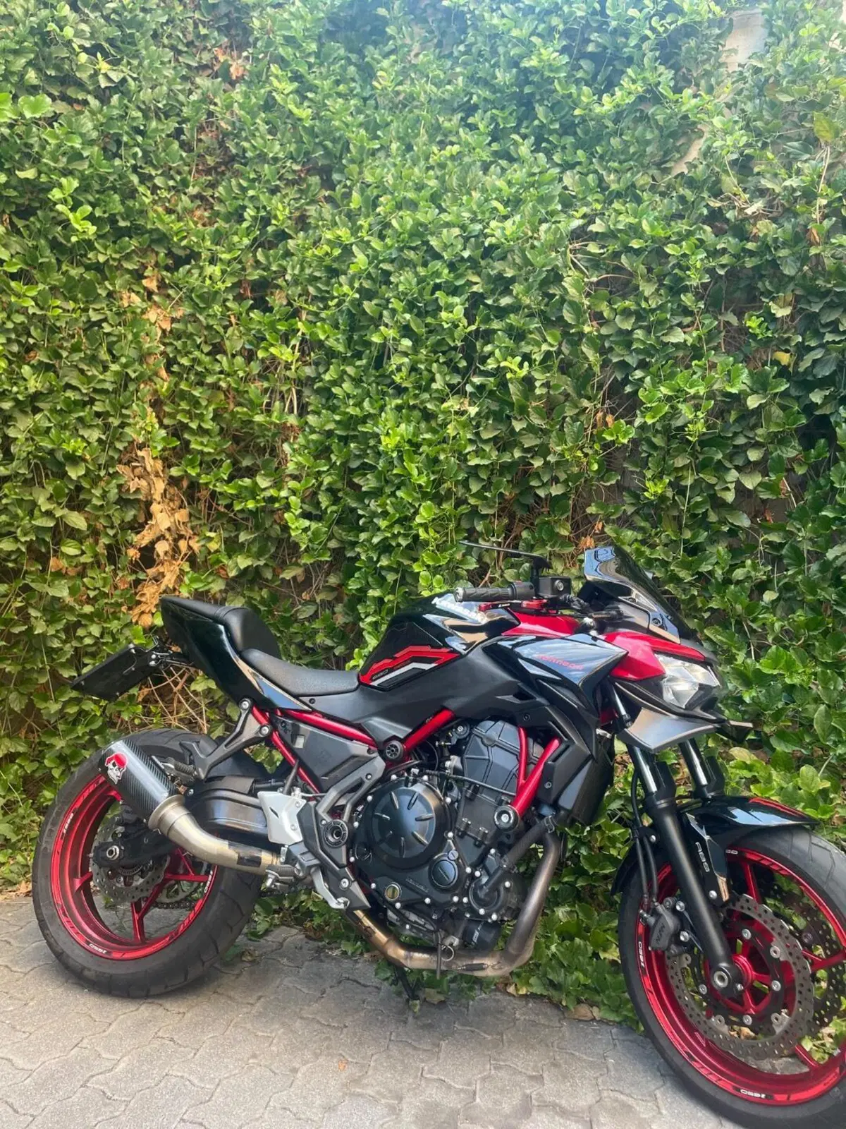 Kawasaki Z 650 (2021 - 24) (2)