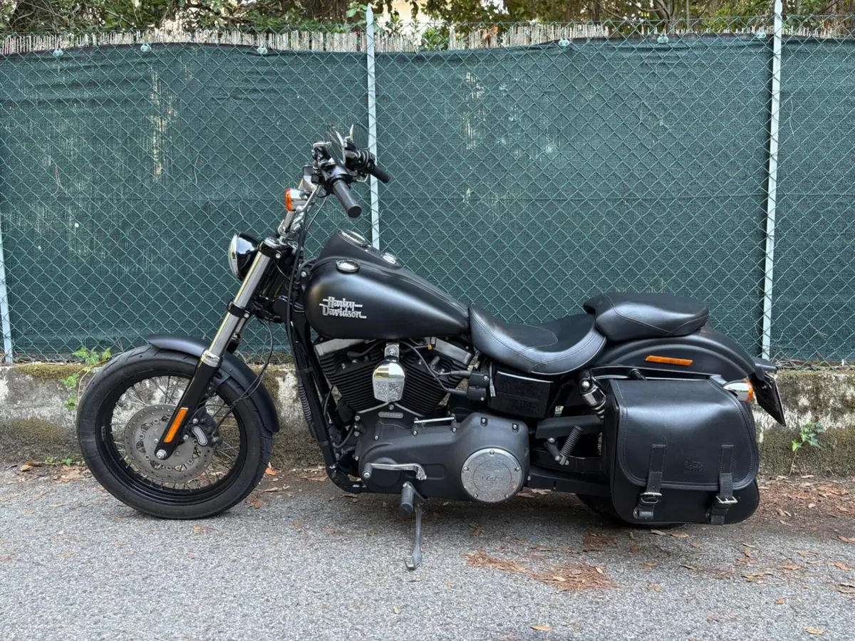 Harley-Davidson 1690 Street Bob Special (2015 - 16) - FXDB (2)
