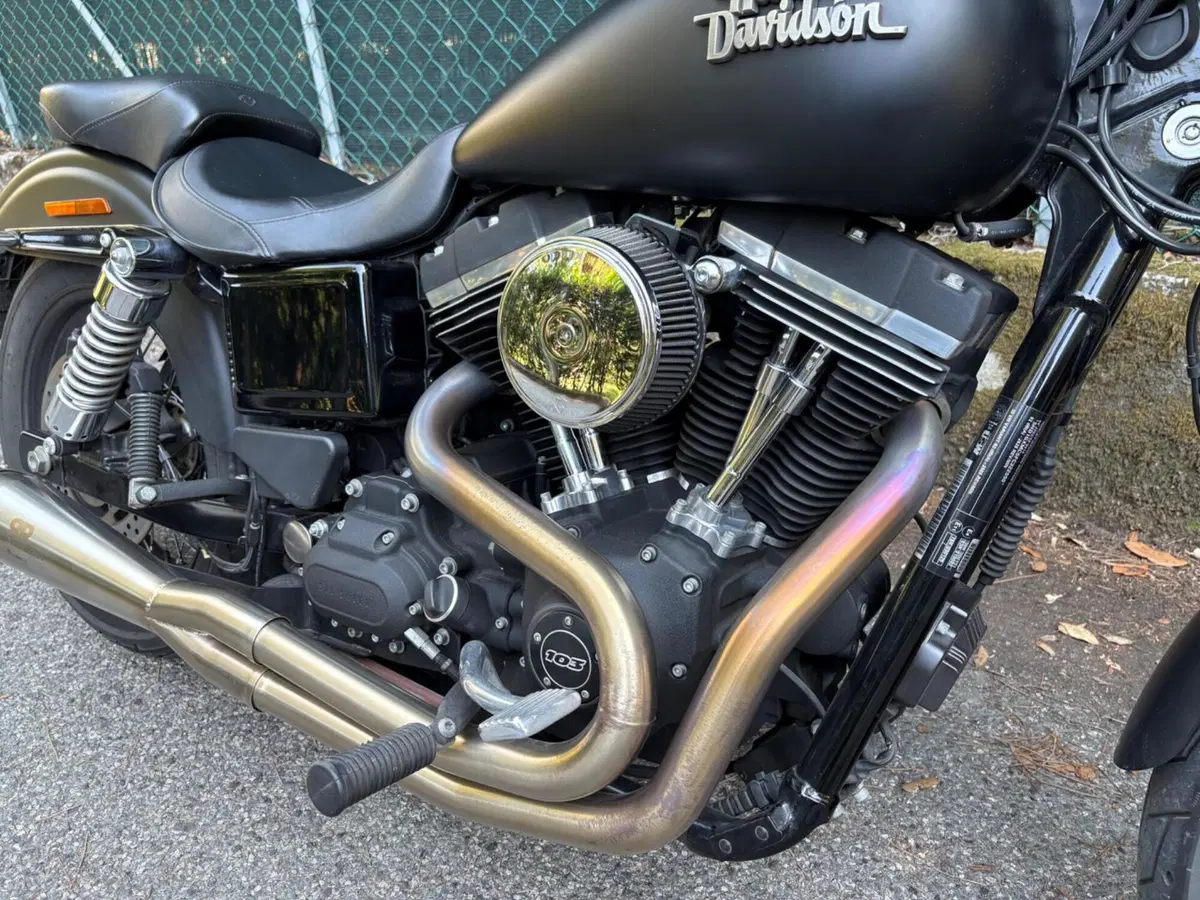 Harley-Davidson 1690 Street Bob Special (2015 - 16) - FXDB (4)