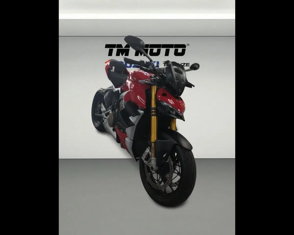 Ducati Streetfighter V4 1100 (2020) (2)