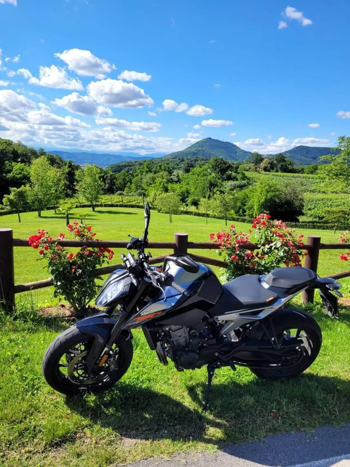 KTM 790 Duke (2018 - 20) (3)