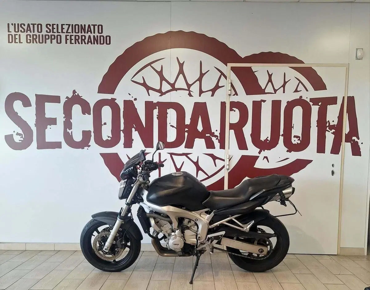 Yamaha FZ6 (2004 - 07) (2)