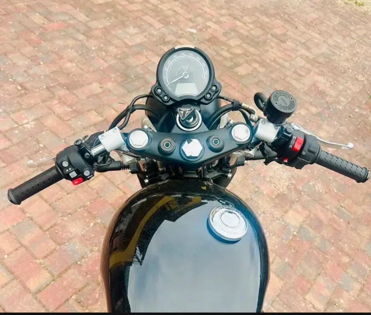 Triumph Scrambler 900 (2026) (3)