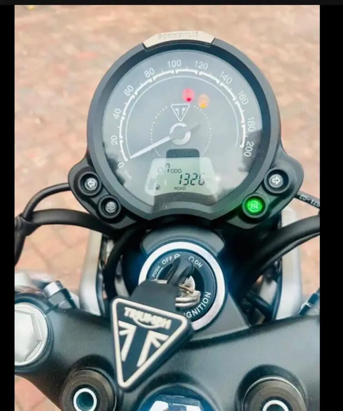 Triumph Scrambler 900 (2026) (6)