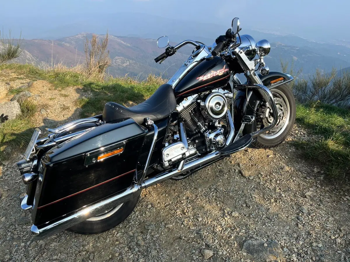 Harley-Davidson 1450 Road King (1999 - 03) - FLHR (7)