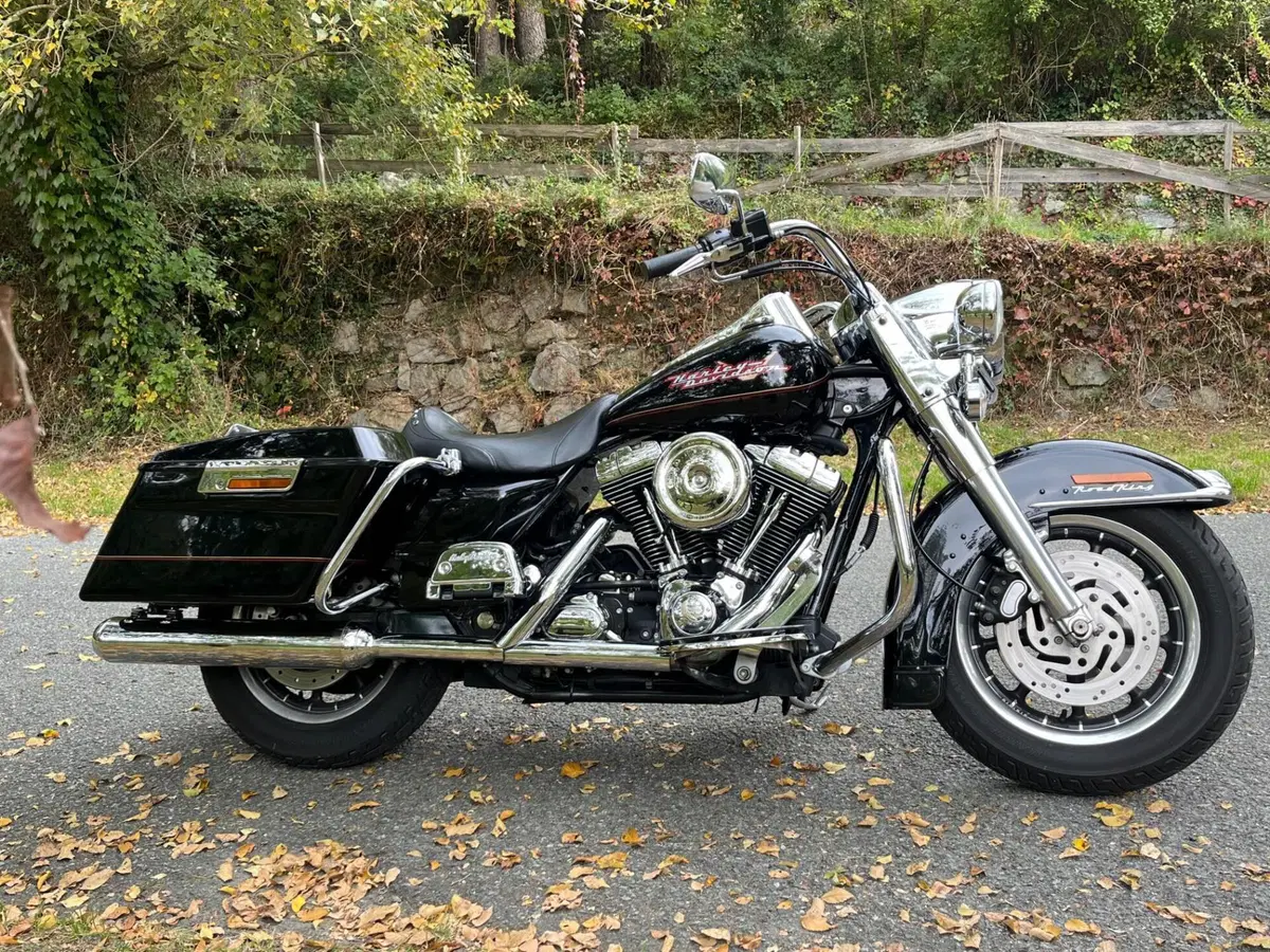 Harley-Davidson 1450 Road King (1999 - 03) - FLHR (9)