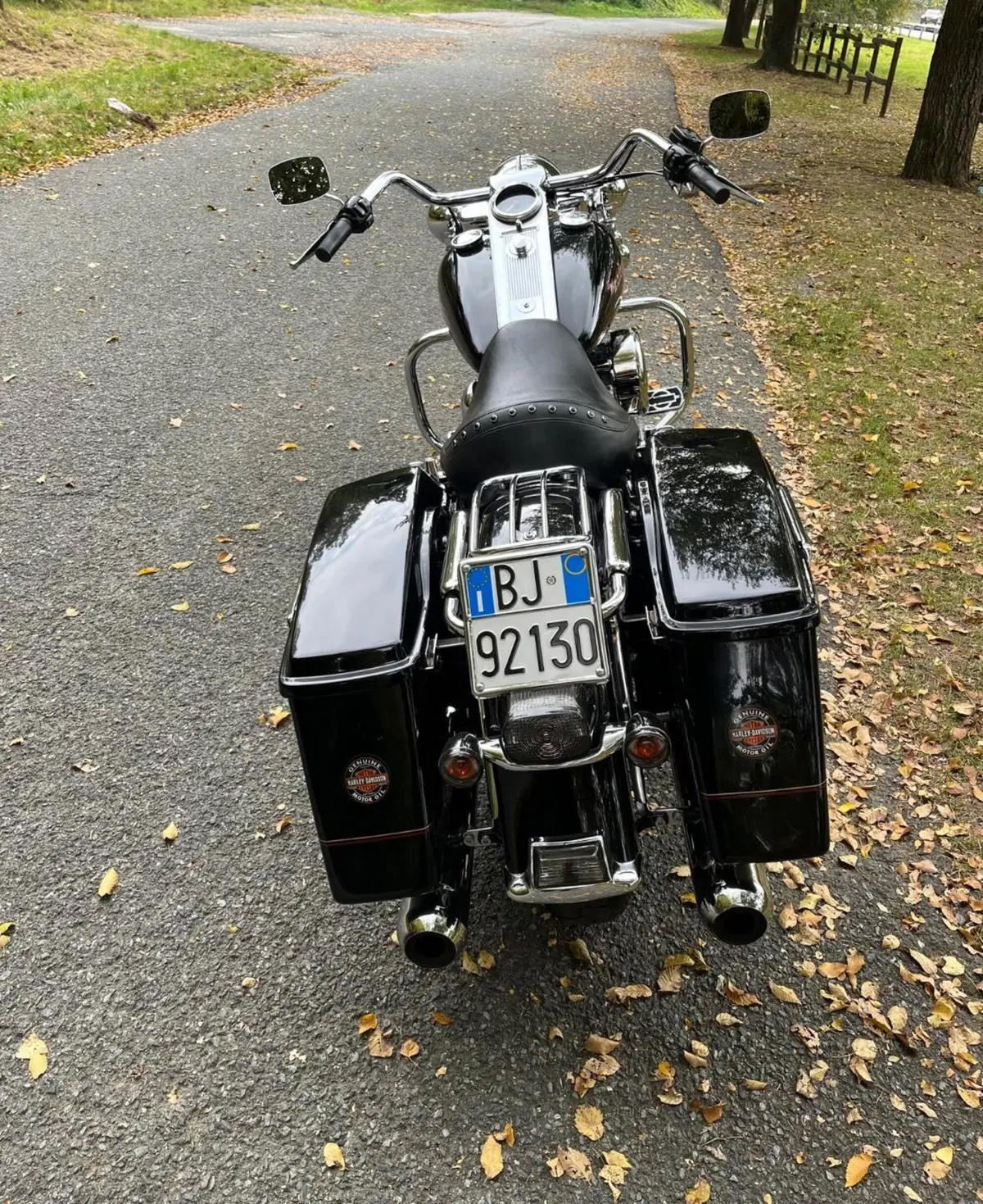 Harley-Davidson 1450 Road King (1999 - 03) - FLHR (15)
