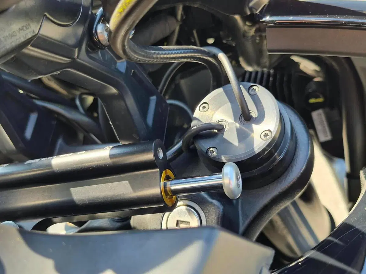 Harley-Davidson Pan America 1250 Special (2020 - 25) (6)