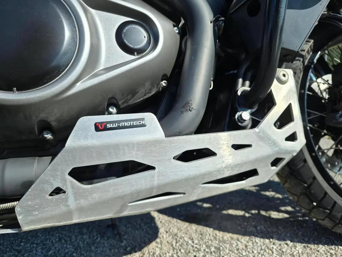 Harley-Davidson Pan America 1250 Special (2020 - 25) (9)